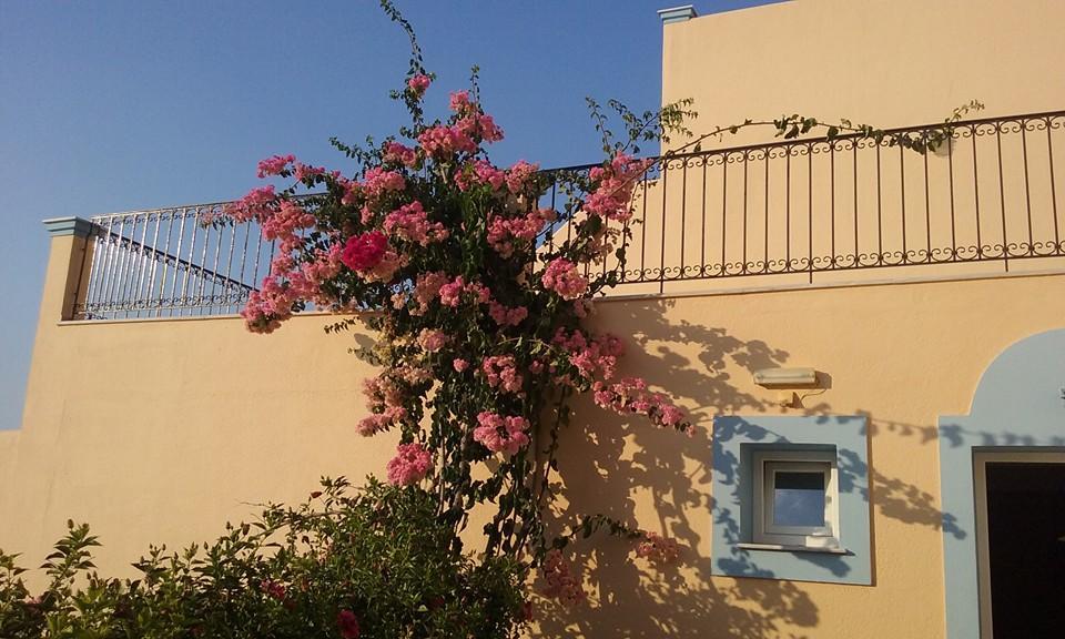 Meltemi Apartments Masouri Exterior photo
